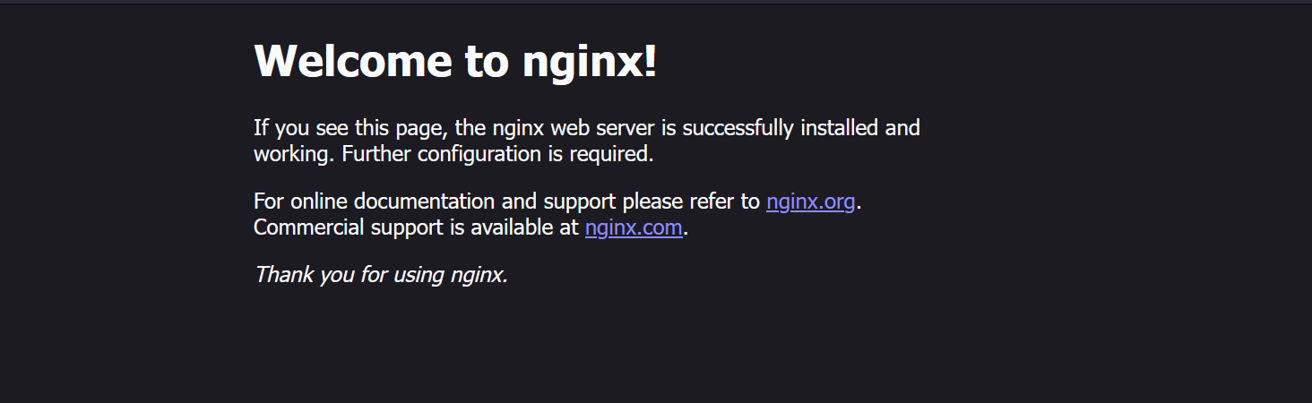 nginx start